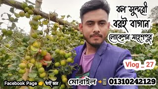 ব্রাহ্মণবাড়িয়া জেলার বিজয়নগর উপজেলার মহেশপুর গ্রামের বল সুন্দরী বরই বাগান 📲 01310242129