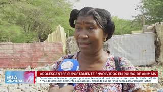 Adolescentes supostamente envolvidos em roubo de animais | Fala Cabo Verde
