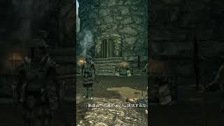 【スカイリム】帝国軍隊長さん、もうめちゃくちゃw【Skyrim】