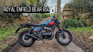 Royal Enfield Interceptor Bear 650 first ride | Tall Rider Review