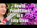 How to Prune Lilacs in 4 Easy Steps