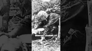 World War II: Battle of Peleliu