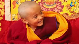 Sikkim Senior Monks Attended Yangsi Of His Holiness Zigdrel Pema Shedup Tenpey Gyaltshen In Shimla