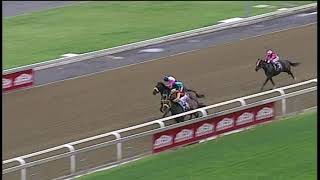 20190203 Greyville Race 5 won by WORDBUSTER