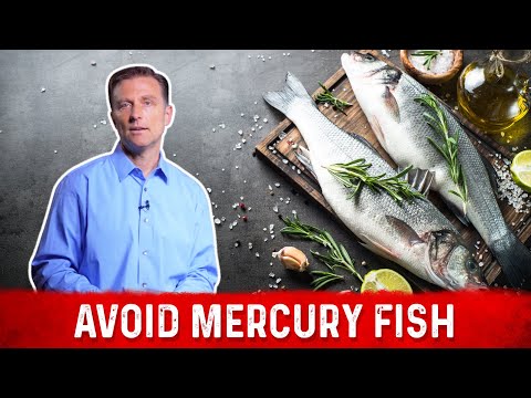 The most common fish with the lowest mercury content