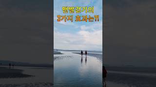 맨발걷기의 놀라운 3가지 효과는 뭘까요? #맨발걷기 #3가지효과 #지압효과 #접지효과 #빌바닥아치 #발가락꺽쇠 #100세건강비결 #1분건강정보