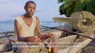 Saving Madagascar's Sawfish