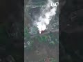 Ukrainian paratroopers destroy the occupiers