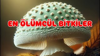 Dünyanın en ölümcül on bitkisi Korkma !