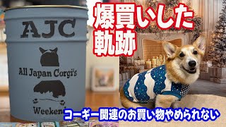 【AJC】コーギー関連のお店が多すぎて、爆買いした飼い主と疲れ果てたコーギー