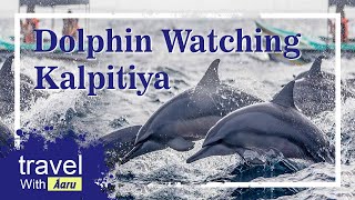 Puttalam kalpitiya dolphin watching OMEESHA BEACH HOTEL DOLPHIN WATCHIG