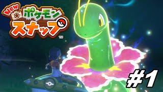 【Newポケモンスナップ】今日から僕もポケモンカメラマン！【実況プレイ#1】