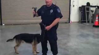 K9 Demonstration of Explosive Detection