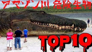 【10分でゆっくり解説】アマゾン川に生息する危険な生物ランキングTOP10