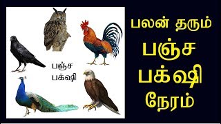 பலன் தரும் பஞ்ச பக்‌ஷி நேரம் (பாகம் - 1) | ஜோதிட தகவல் | Astro Kasiram