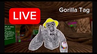 #gorillatag #gtag #gtagfun #monke #gorillatagvr #vr #virtualreality #oculus #meta #gorillatagfun