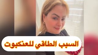 على ماذا يذل وجود العنكبوت ….السبب الطاقي لوجود العناكب في المنزل ✅