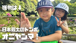 テーマはトンボ。狙うのは、オニヤンマたち！