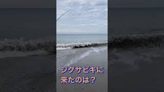 秋のサーフのジグサビキ。 #shorts