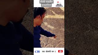 कोळंबे गावातील कातळशिल्प कोकणातील कातळशिल्प petroglyphs of kokan #ancient #viral