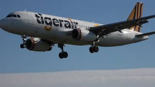 【４K】 tigerair A320 Rwy03L Landing 茨城空港 nrthhh