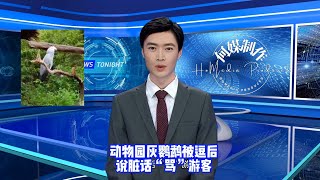 【趣闻】动物园灰鹦鹉被逗后，说脏话“骂”游客……