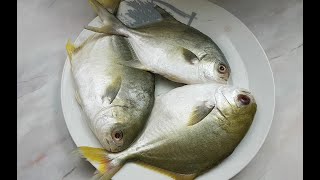 Pomfret Fish Cutting and Cleaning | How to Cut and Clean Pomfret Fish | How to Cut Fish