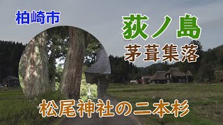 荻ノ島　茅葺集落＆松尾神社の二本杉