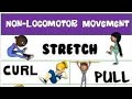 locomotor and non locomotor