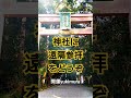 【見逃し厳禁】スルーすると次は、12年後 お金の巡りを良くする為自分の為に許可して下さい。 スピリチュアル 引き寄せ 開運 潜在意識 波動 金運