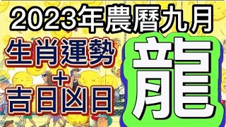 【古柏論命每月運勢 + 吉日凶日】2023年農曆九月(陽曆10/15 ~ 11/12)生肖運勢分享 -  龍