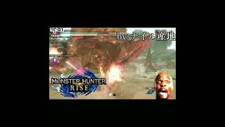 ヌシ・リオレイアとタイマンする奴　 #shorts #MHRise #モンハンライズ #ナイル産地