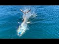 GIANT Bluefin Tuna in SHALLOW water off Long Island, New York