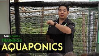 Aquaponics System: How to Set-up Small Scale to Semi - Commercial Aquaponics in the Philippines