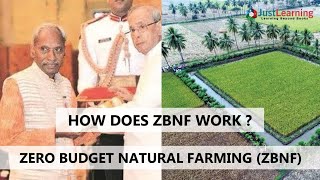 Zero Budget Natural Farming | What is ZBNF? | How Does It Help The farmers | Just Learning