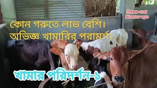 খামার শুরু করার আগে অভিজ্ঞ খামারির পরামর্শ নিতে আসলাম। ০৯-১১-২০২৪ইং। শায়েস্তাবাদ, বরিশাল।