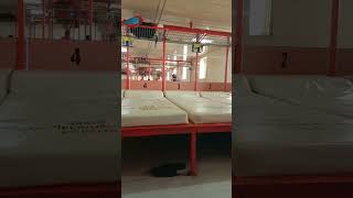 intip kamar kelas ekonomi di kapal Pelni KM Binaiya @aszalika #pelni #bima #labuanbajo #makassar