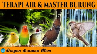 Terapi Air & Masteran Burung SUASANA ALAM