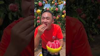 Picking and testing Pomelo fruit !! #fruitgarden #harvesting