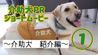 介助犬　PRショートムービー①　【兵庫介助犬協会】