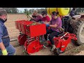 checchi u0026 magli transplanting sweet potatoes with foxdrive plus