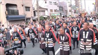 平成27年 素盞雄神社大祭（天王祭）   本社神輿宮入り道中