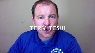 Termite Trench \u0026 Treat: Southwest Exterminators