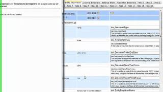 SmartXBRL: Fixing Validation Errors