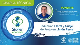 Inducción Floral y Cuaje de Fruto en Limón Persa