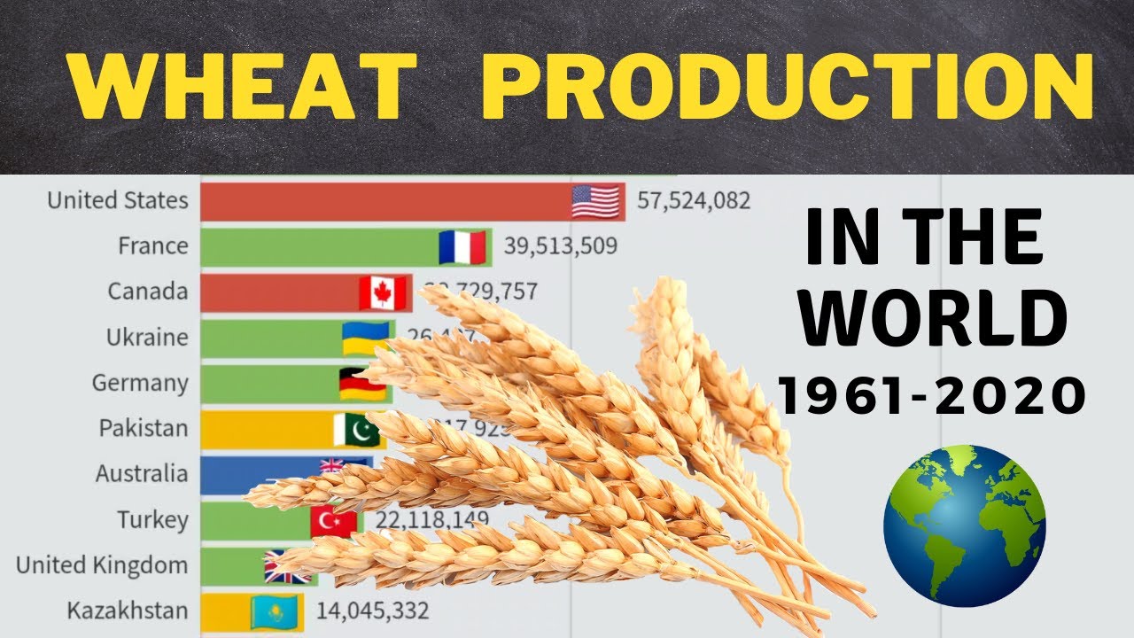 WHEAT Production In The World By Country | 1961-2020 | The Largest ...