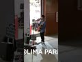 BUSKER AT LIMA PARK