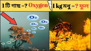 জানেন কি একটি গাছ আমাদের কতটা অক্সিজেন দেয় ? | how much oxygen produce a tree ? | Fact Therapy