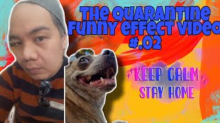 The Quarantine effect no.2 #keepsafe #vloguapps #videoshop #VivaVideo #Musical.ly #followme