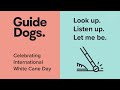 ‘look up. listen up. let me be.’ international white cane day 2022